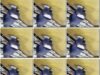 6de37058-abab-11f1-986f-0800275bf759
