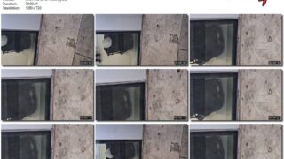 81eed428-abad-11f1-986f-0800275bf759
