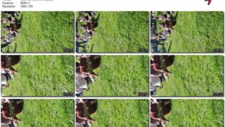 8ab0e412-abac-11f1-986f-0800275bf759
