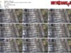 92403be6-abad-11f1-986f-0800275bf759