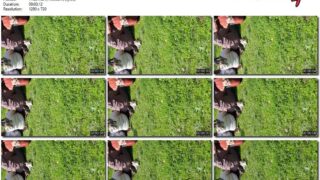 9596bbc2-abac-11f1-986f-0800275bf759
