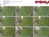 97c098ae-abad-11f1-986f-0800275bf759
