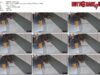 9c9364ca-abac-11f1-986f-0800275bf759