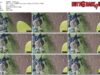 b61a5b3c-abad-11f1-986f-0800275bf759