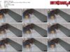 b9e236be-abac-11f1-986f-0800275bf759